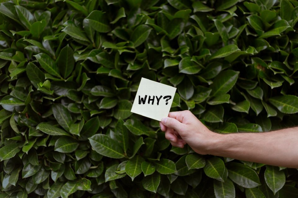Why death notices in the USA matter for smart linkbuilding marketing