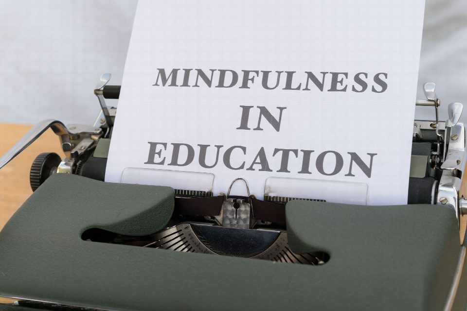 Education NV USA news: practical linkbuilding insights marketing